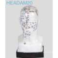 Modelo de cabeza de acupuntura (Headam20)